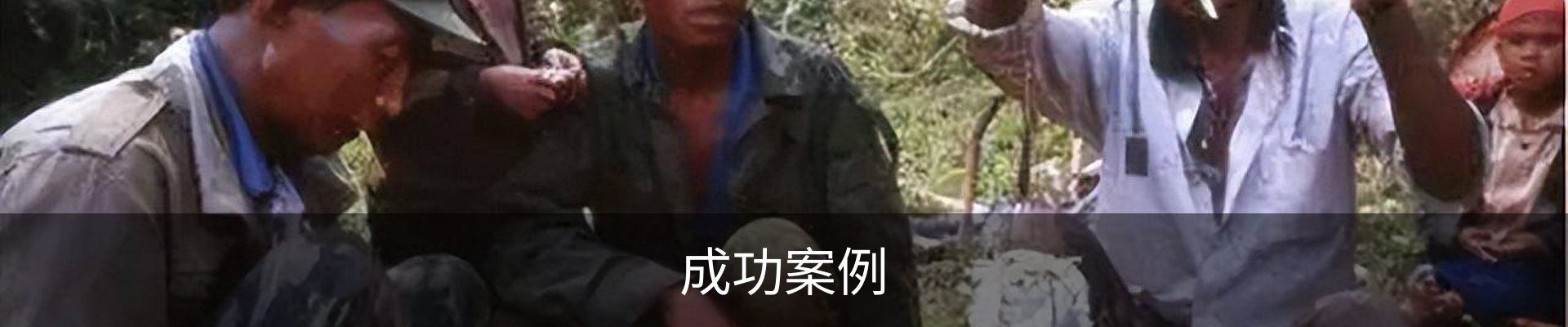 成功案例