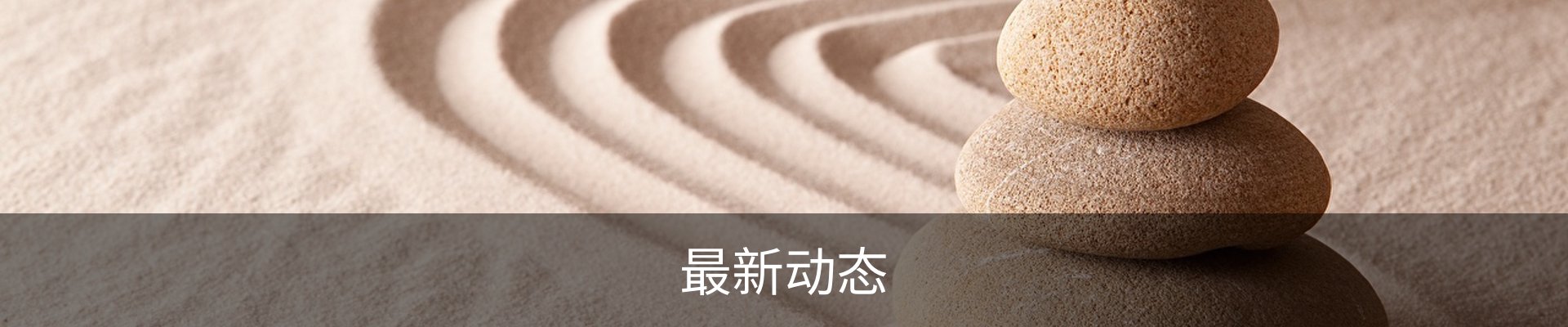 最新动态