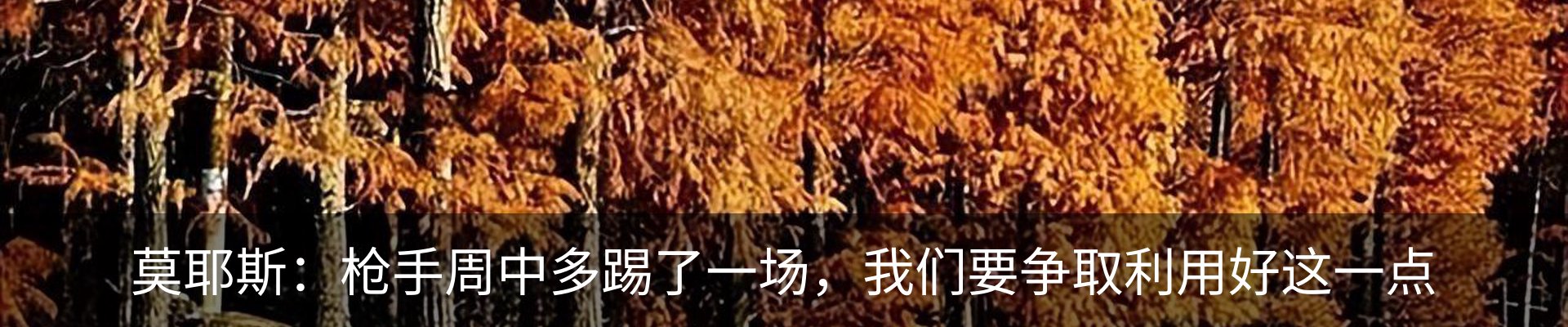 最新动态